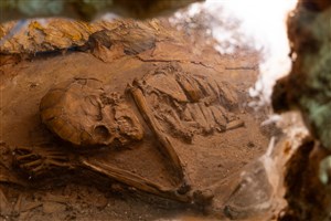 Image description is not available for 2010.1.1